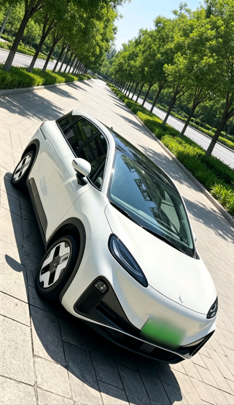 棗莊24年極狐汽車考拉1