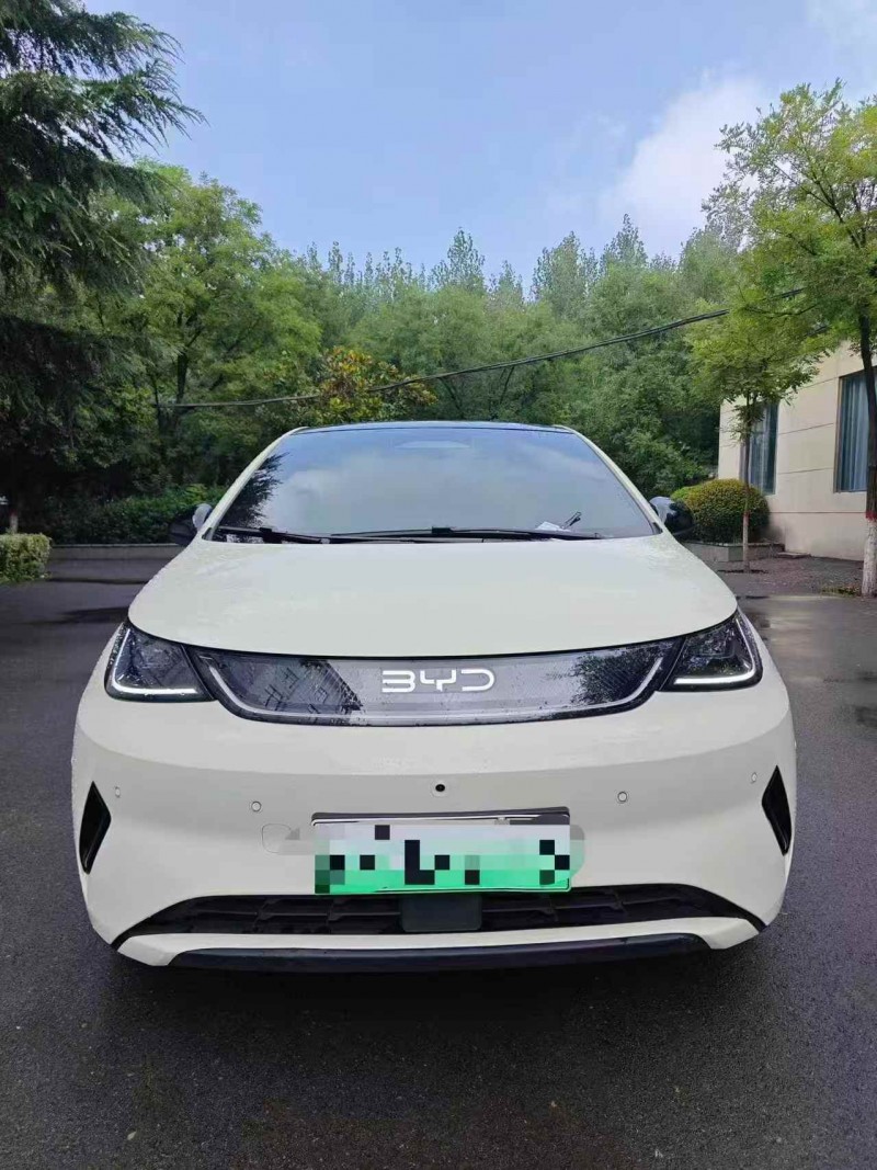 东营25年比亚迪海豚1