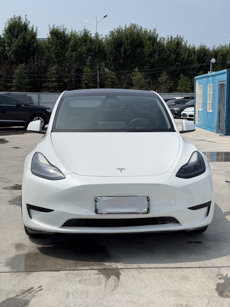 新乡23年特斯拉MODEL Y1