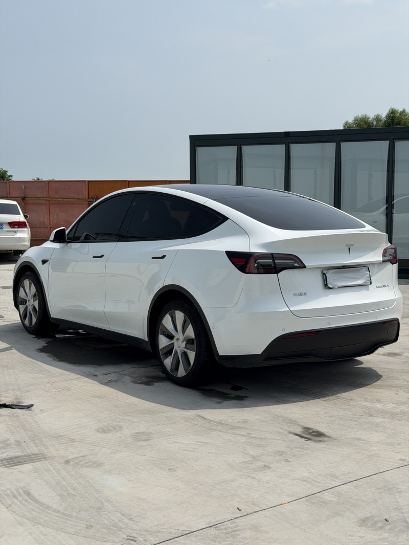 新乡23年特斯拉MODEL Y8