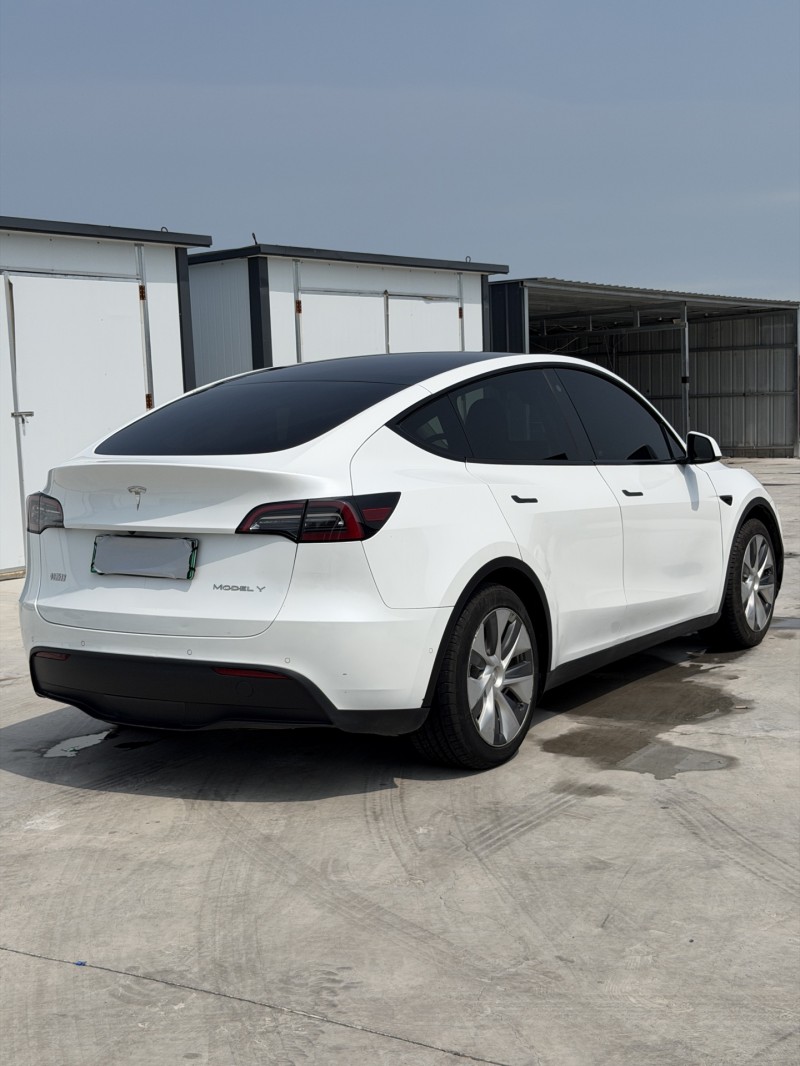 新乡23年特斯拉MODEL Y9