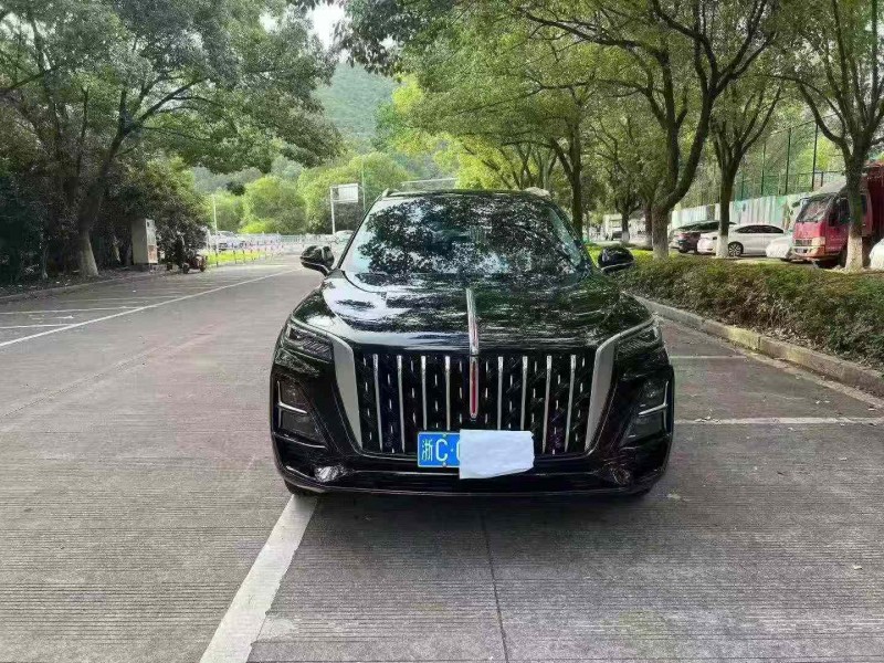湖州25年红旗HS51