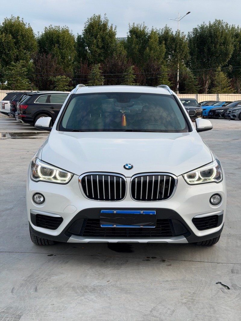 新乡18年宝马X11