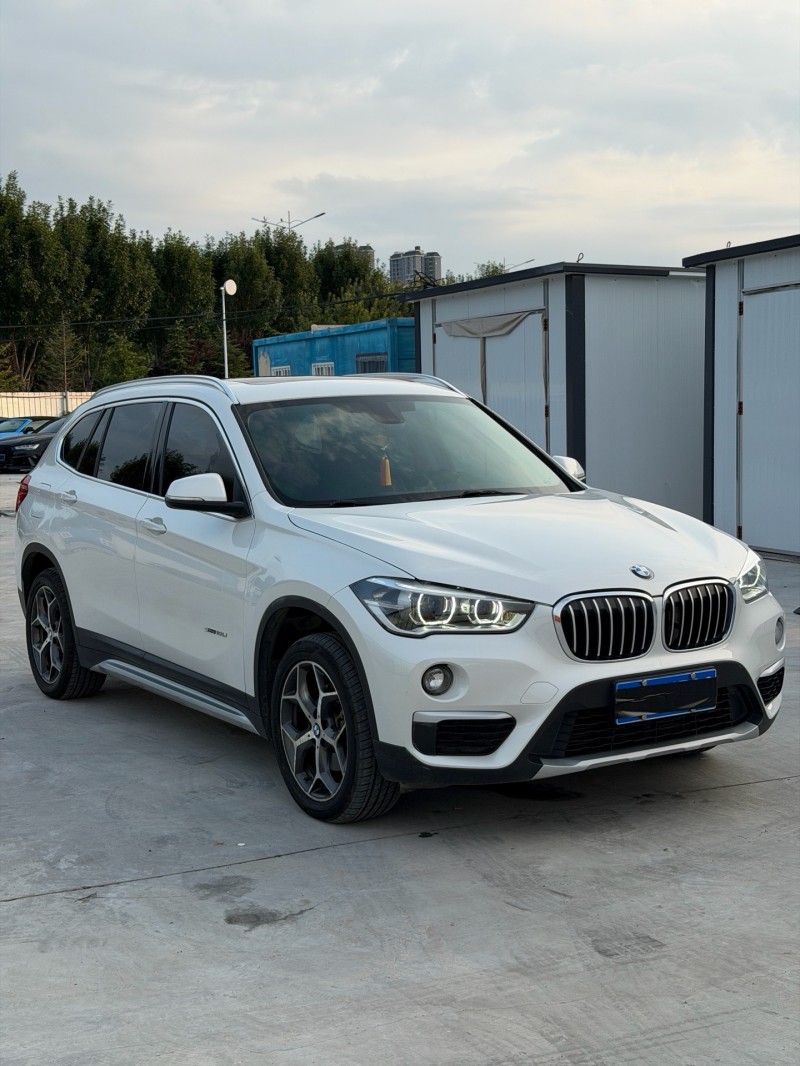 新乡18年宝马X12