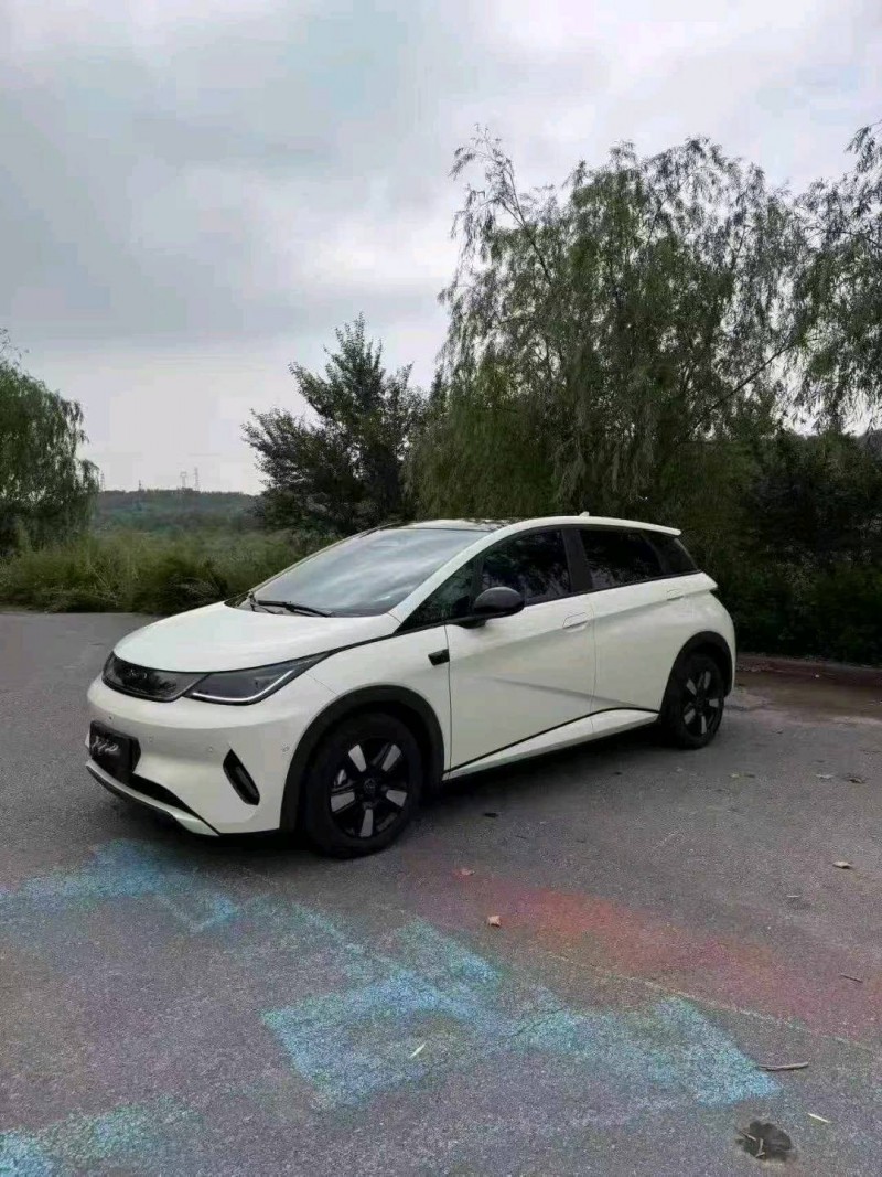 常州25年比亚迪海豚3