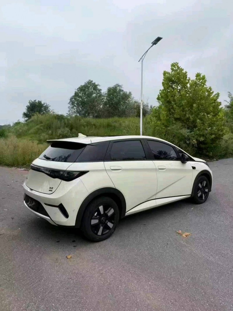 常州25年比亚迪海豚7