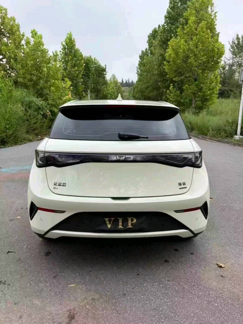 常州25年比亚迪海豚9