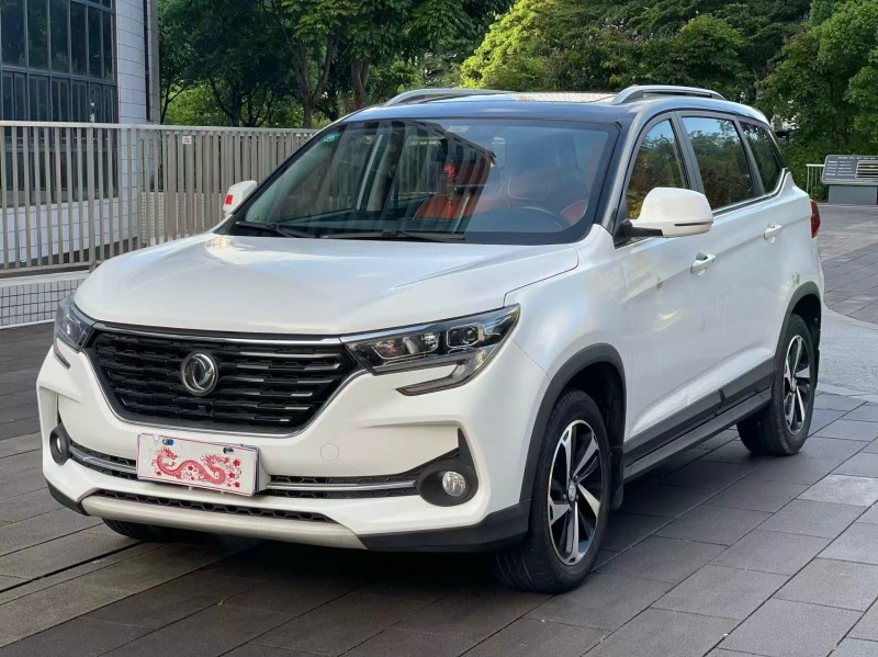 佛山20年東風T53