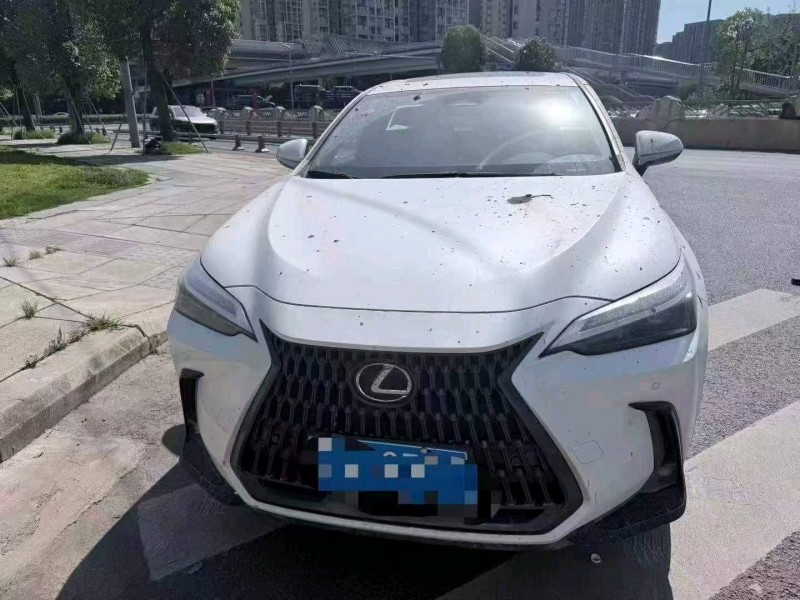 南昌25年雷克萨斯NX1