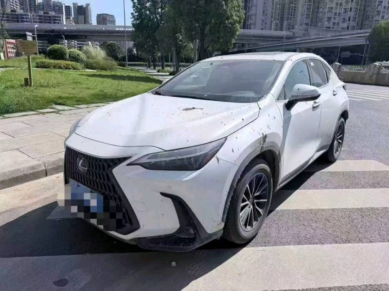 南昌25年雷克萨斯NX2