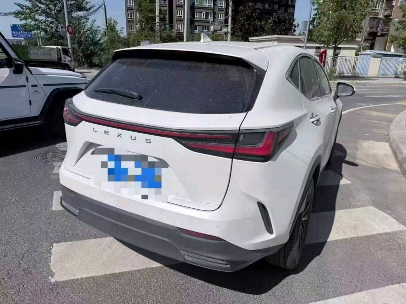 南昌25年雷克萨斯NX9