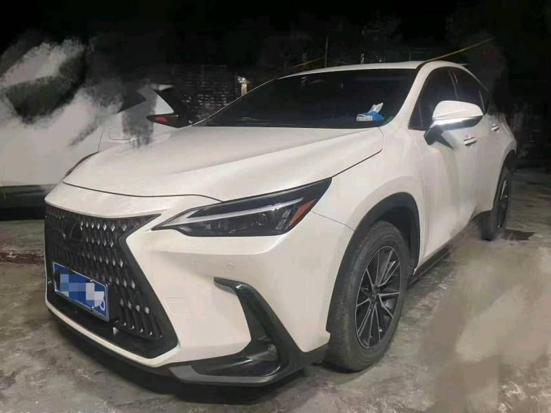 滨州23年雷克萨斯NX1