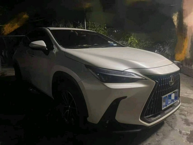 滨州23年雷克萨斯NX2