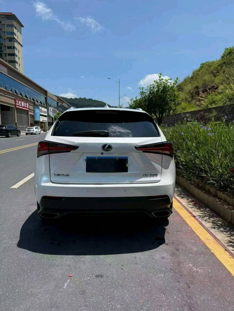 娄底17年雷克萨斯NX4