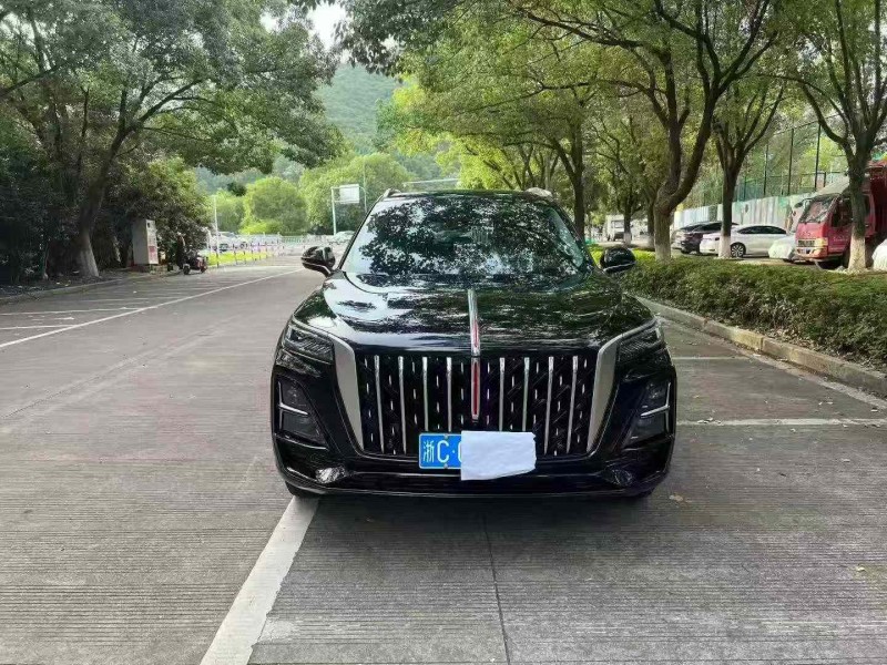 湖州25年红旗HS51
