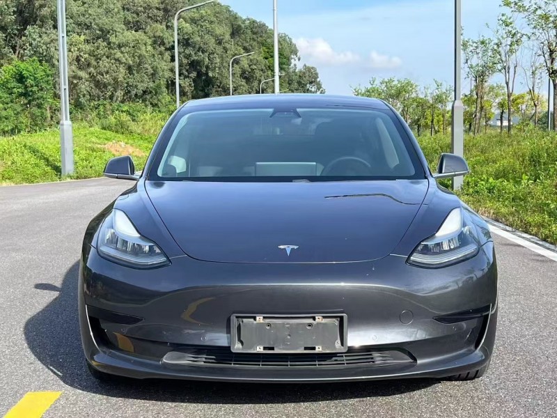 江门20年特斯拉MODEL 31