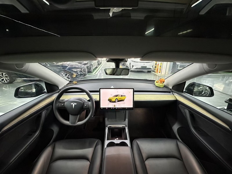 深圳23年特斯拉MODEL 35