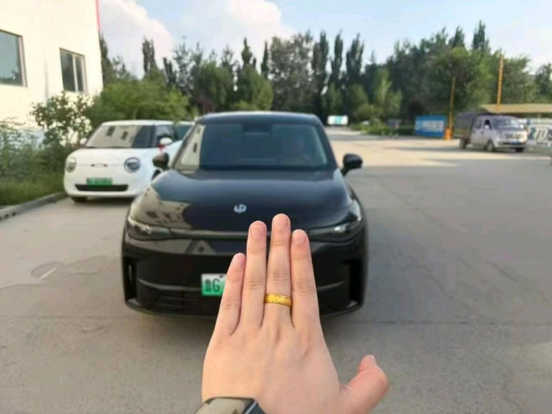 潍坊24年零跑汽车C101