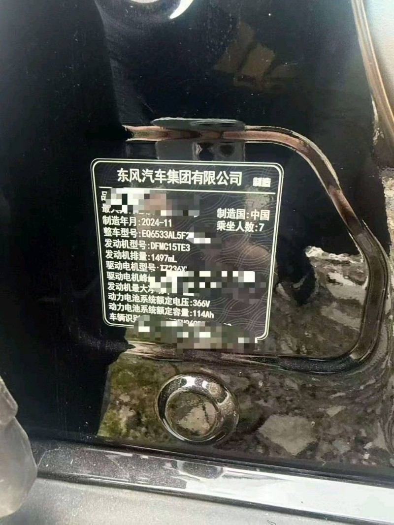临沂25年岚图汽车梦想家9