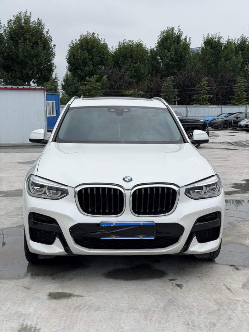 新乡20年宝马X31