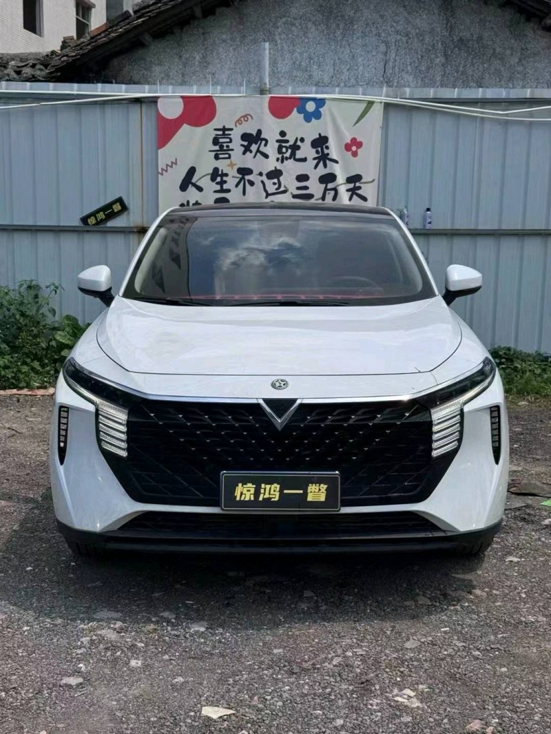 广州23年启辰大V1