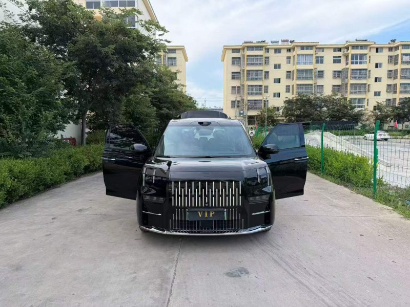 徐州25年极氪汽车0096