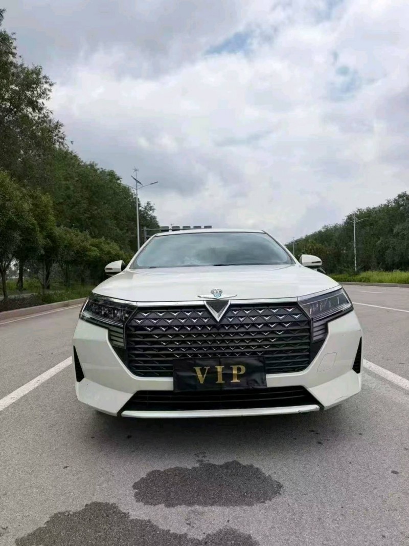 枣庄23年启辰D601