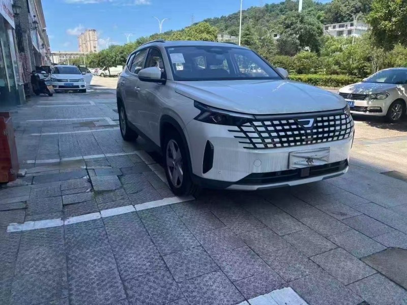 新余26年大众捷达1