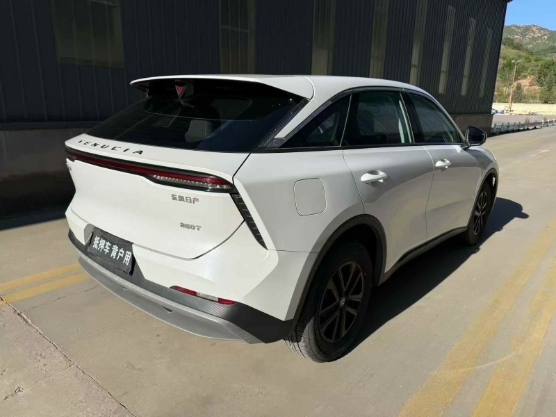 邢台23年启辰大V9