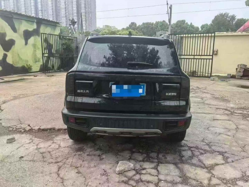 广州24年哈弗大狗9
