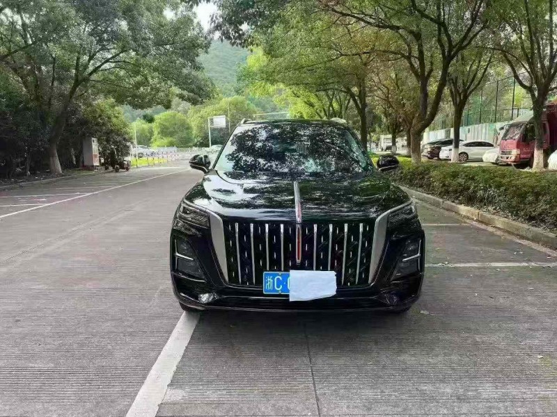 湖州25年红旗HS51