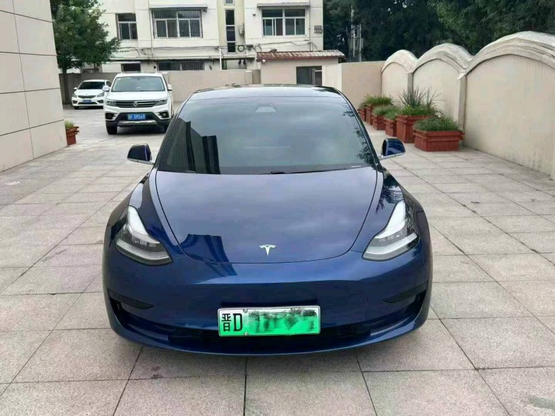 保定20年特斯拉MODEL 31