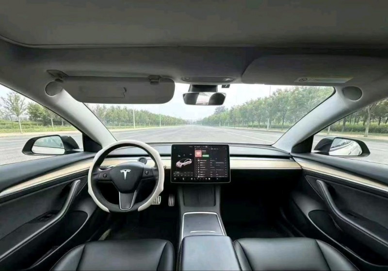 徐州20年特斯拉MODEL 36