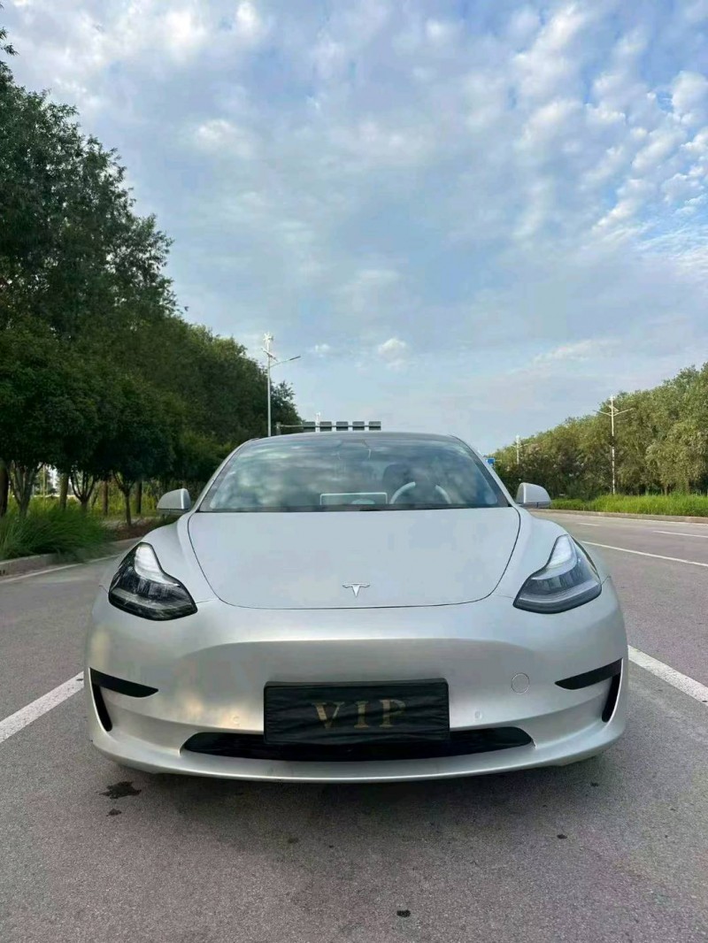 枣庄20年特斯拉MODEL 31