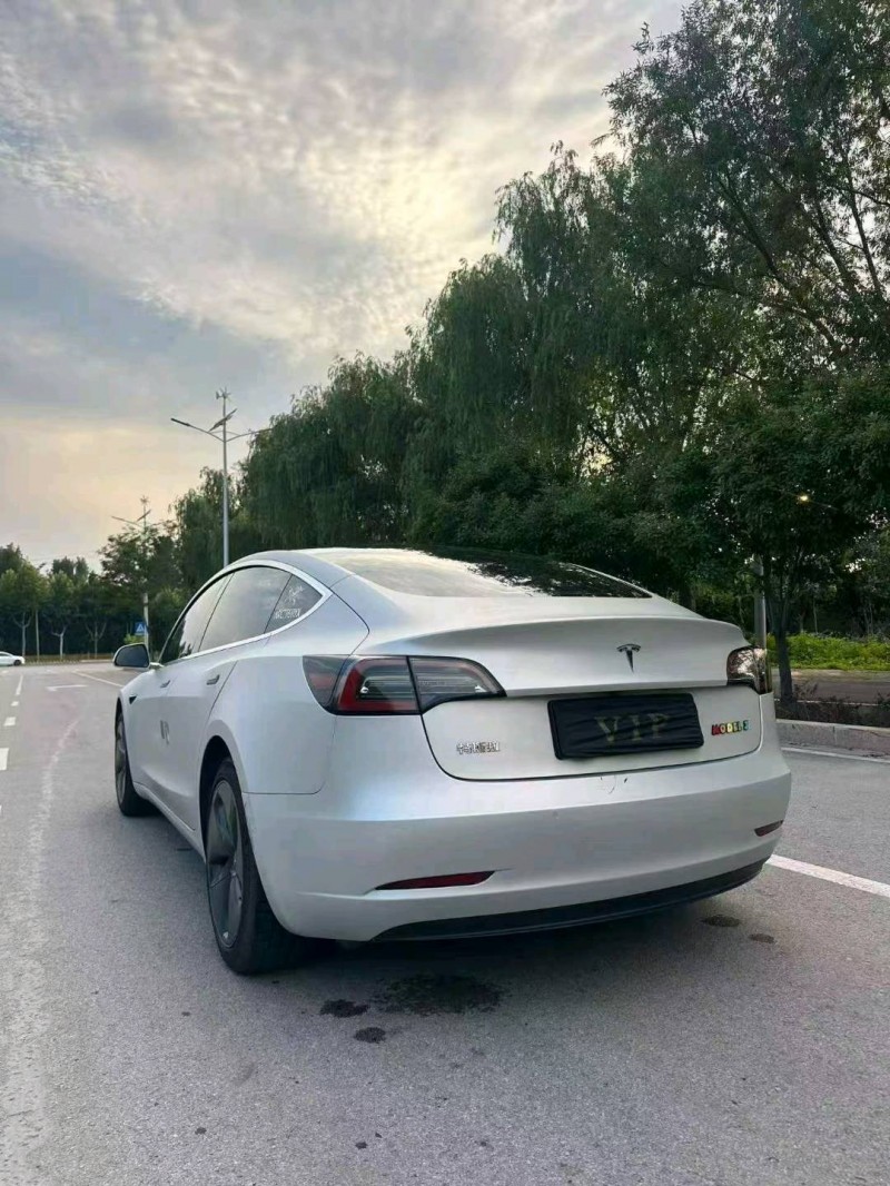 枣庄20年特斯拉MODEL 35
