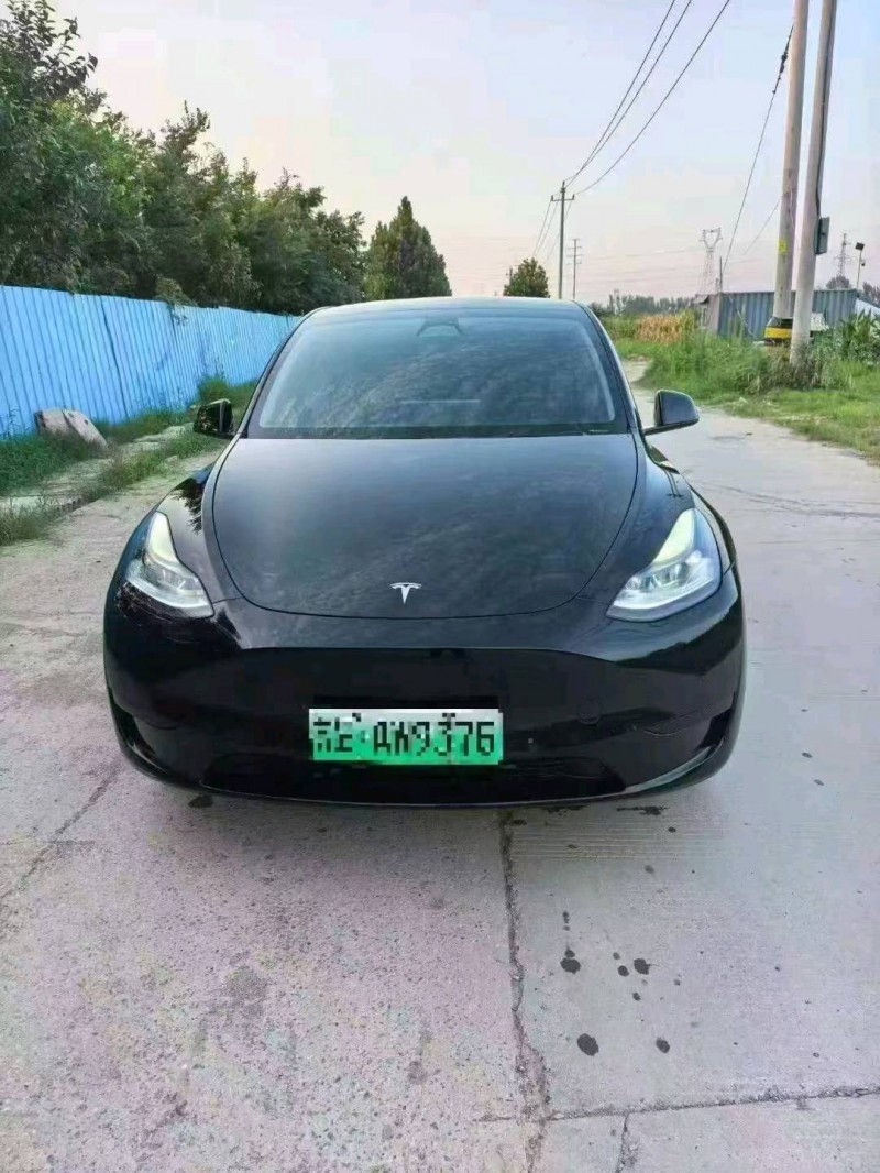 新乡24年特斯拉MODEL Y1