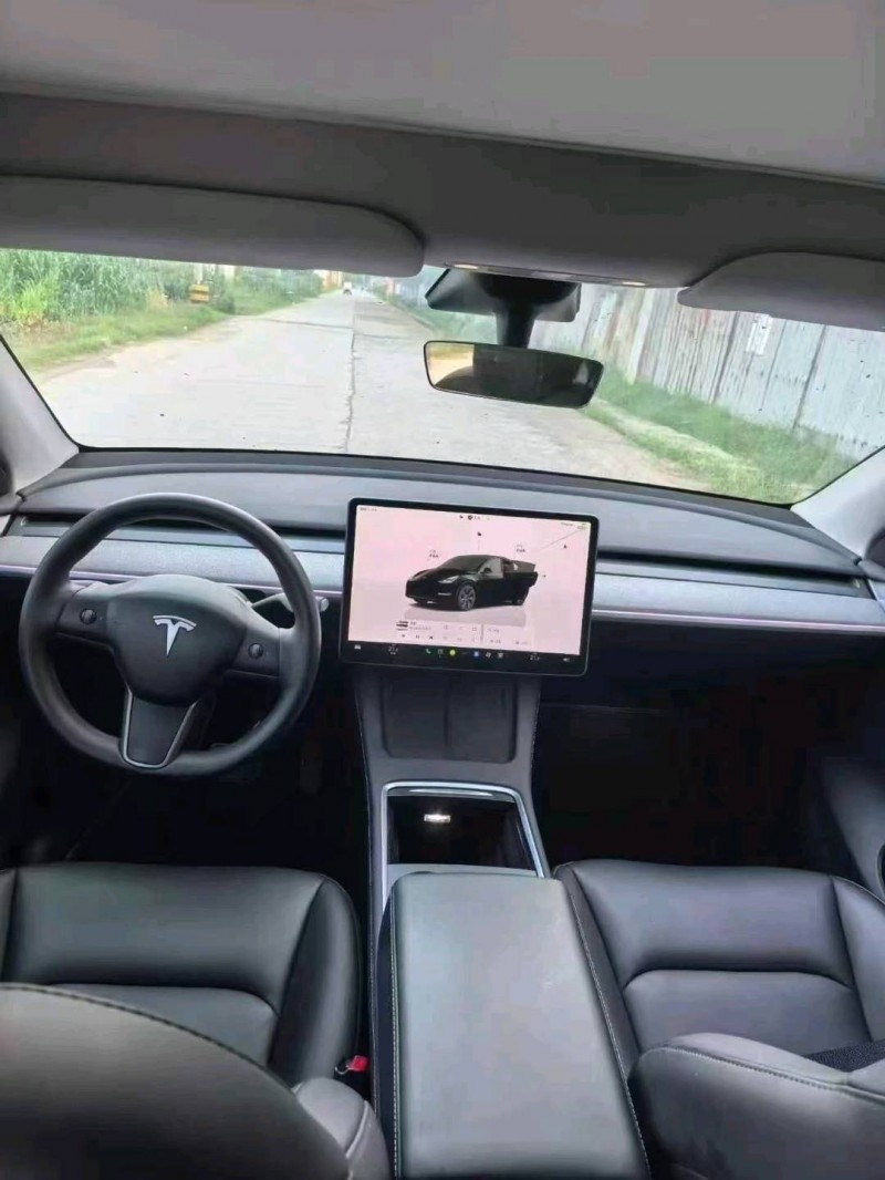 新乡24年特斯拉MODEL Y8