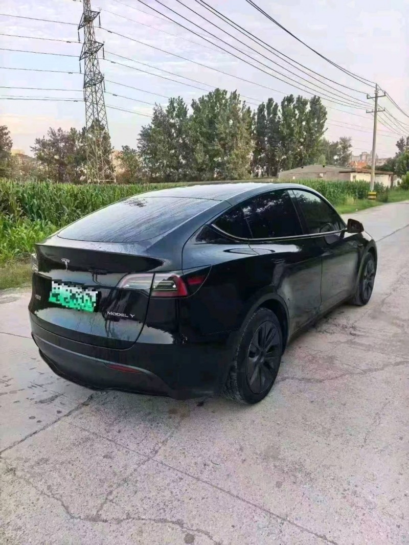 新乡24年特斯拉MODEL Y9