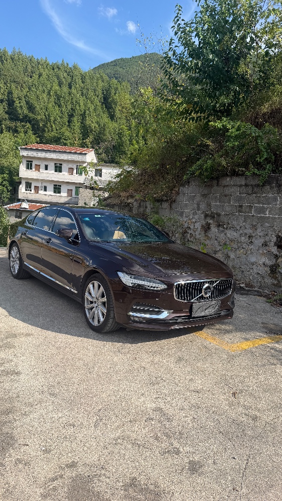 重庆18年沃尔沃S902