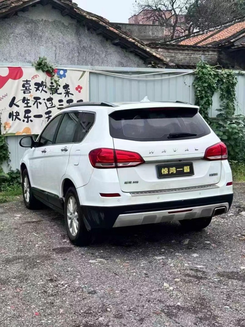 广州20年哈弗H64