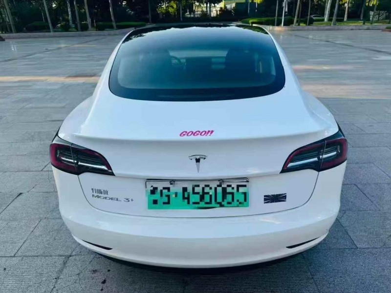 潍坊21年特斯拉MODEL 38