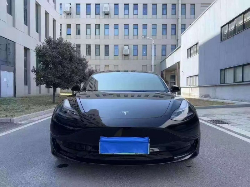 徐州20年特斯拉MODEL 31