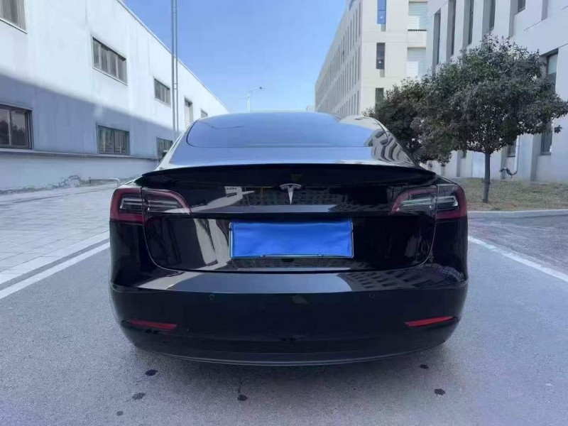 徐州20年特斯拉MODEL 39