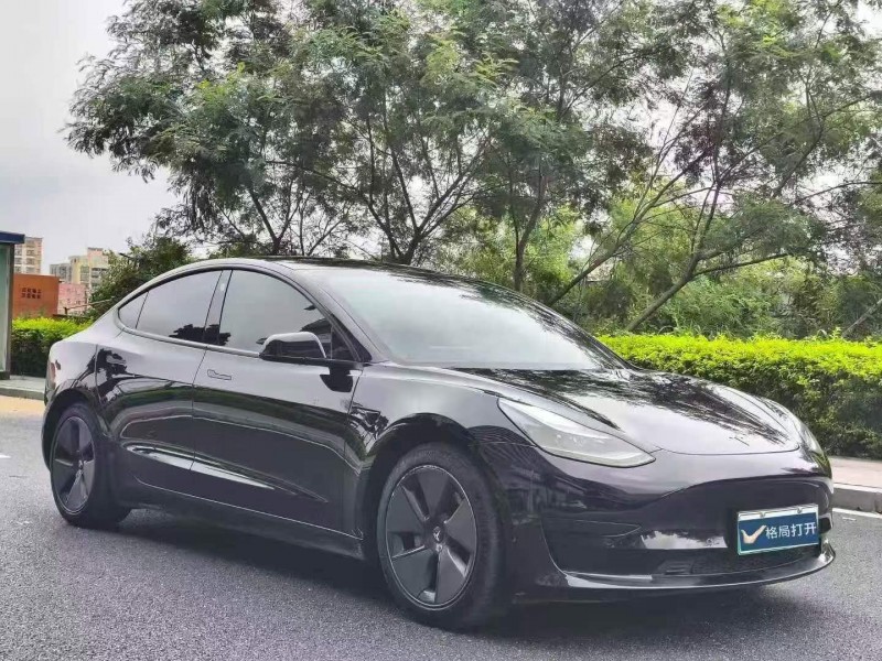 东莞23年特斯拉MODEL 33