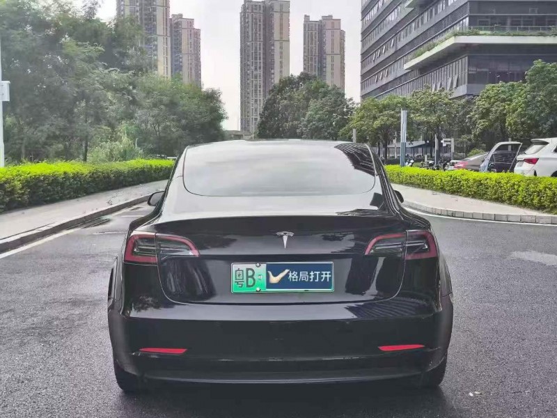 东莞23年特斯拉MODEL 34