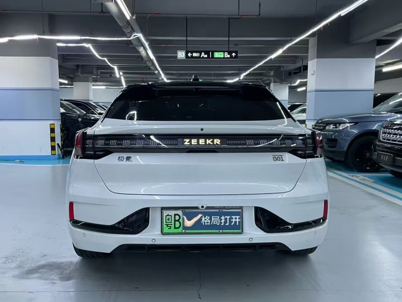 深圳24年极氪汽车0019