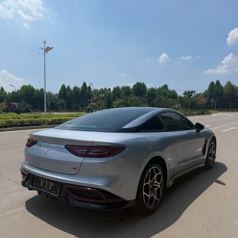 枣庄24年哪吒GT9