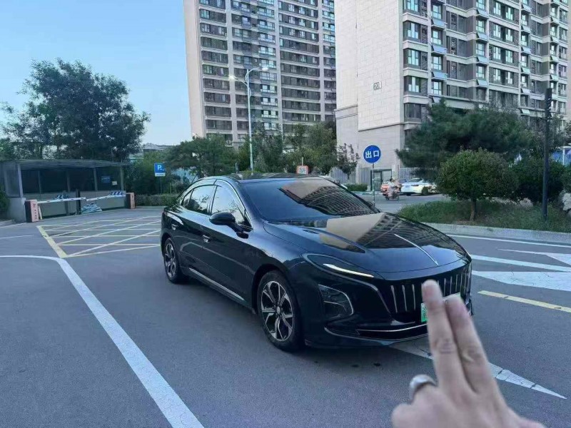 东营22年红旗E-QM53