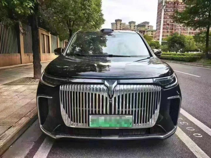 鄂州25年岚图汽车梦想家1