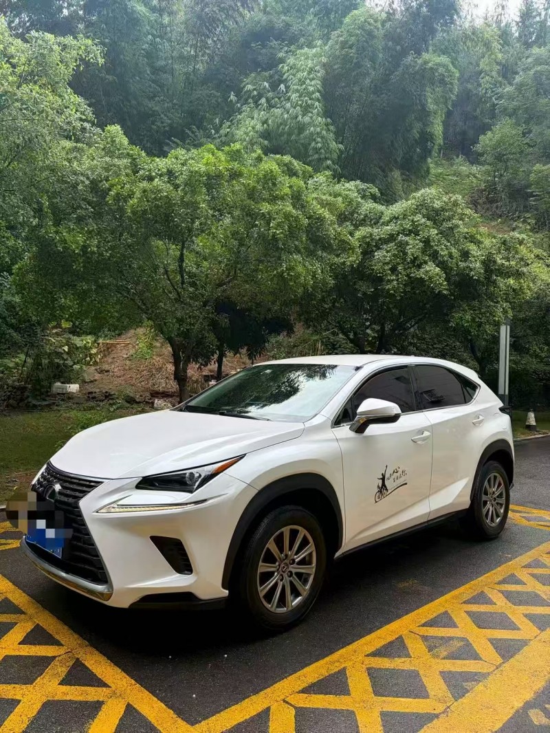 重庆18年雷克萨斯NX2